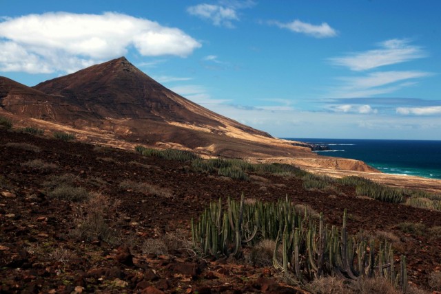Zdj cia: Pwysep Jandia, Fuerteventura/Wyspy Kanaryjskie, Plaa Cofete, HISZPANIA