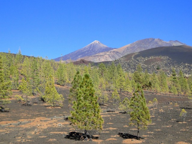 Zdj cia: Teneryfa, Wyspy Kanaryjskie, Park Narodowy del Teide (1), HISZPANIA