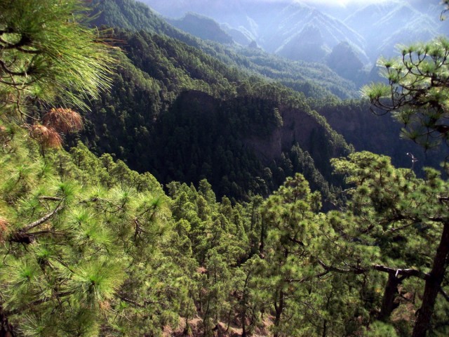 Zdj cia: Wyspa La Palma, Wyspy Kanaryjskie, Poranek w Caldera de Taburiente, HISZPANIA