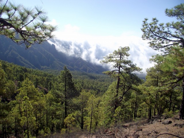 Zdj cia: La Palma, Wyspy Kanaryjskie, Wodospad chmur, La Cumbrecita, HISZPANIA
