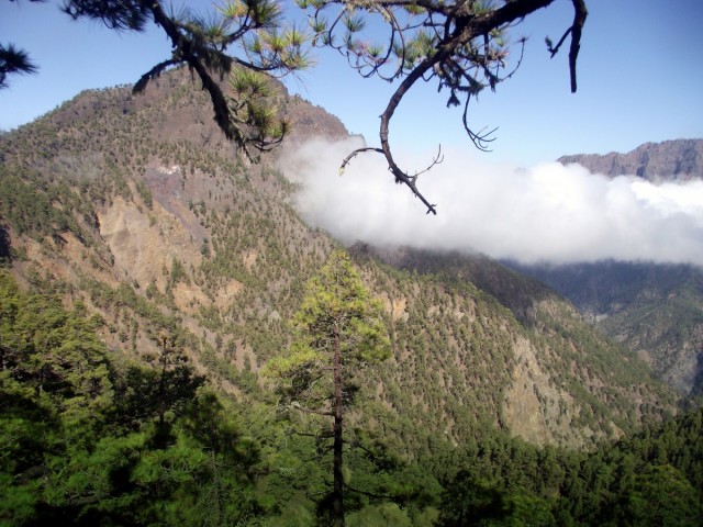 Zdj cia: La Palma, Park Narodowy Caldera de Taburiente, Wyspy Kanaryjskie, Pico Bejenado 1854m n.p.m., HISZPANIA
