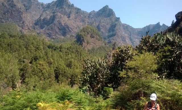 Zdj cia: La Palma, Park Narodowy Caldera de Taburiente, Wyspy Kanaryjskie, Zona de Acampada, HISZPANIA