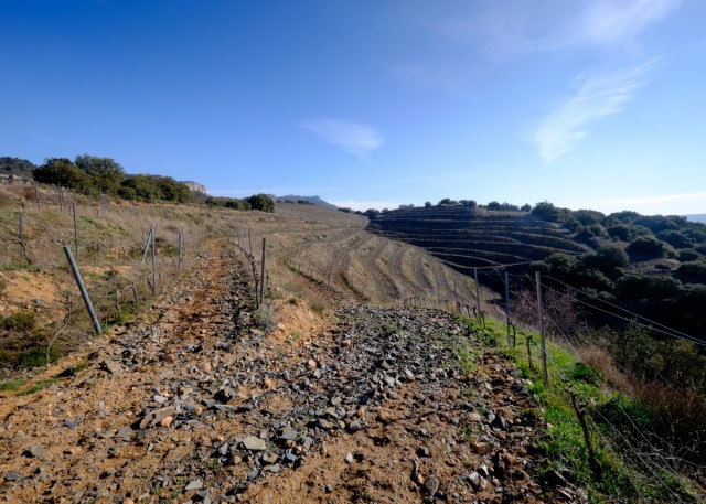 Zdj cia: Priorat, Katalonia, Winorol na skaach, HISZPANIA