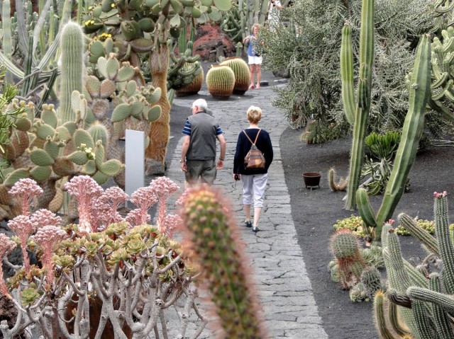 Zdj cia: Lanzarote, Wyspy Kanaryjskie, Spacerek wrd kaktusw., HISZPANIA