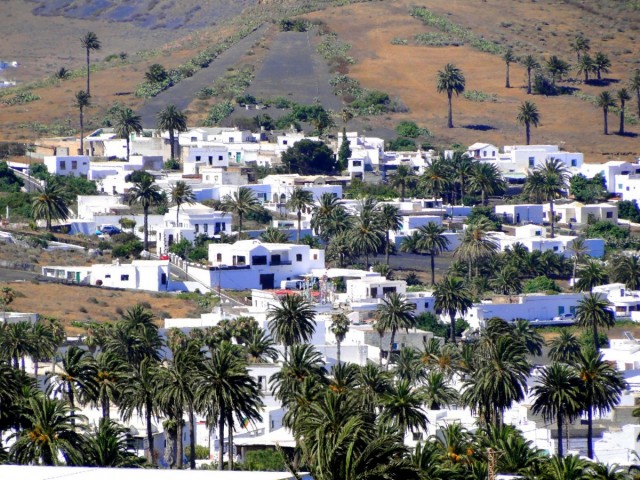 Zdj cia: Lanzarote, Wyspy Kanaryjskie, W Dolinie Tysica Palm., HISZPANIA
