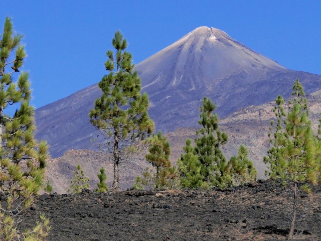 Zdj cia: Teneryfa - Park Narodowy Teide, Wyspy Kanaryjskie, Kanaryjskie wspomnienie - Teneryfa (6), HISZPANIA