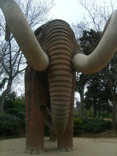 Zdjęcia: Barcelona, Katalonia, mamut:), HISZPANIA Zdjęcia: Barcelona, Katalonia, mamut:), HISZPANIA