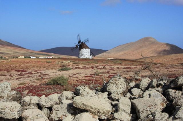 Zdjęcia: Villawerde, Fuerteventura, HISZPANIA Zdjęcia: Villawerde, Fuerteventura, HISZPANIA