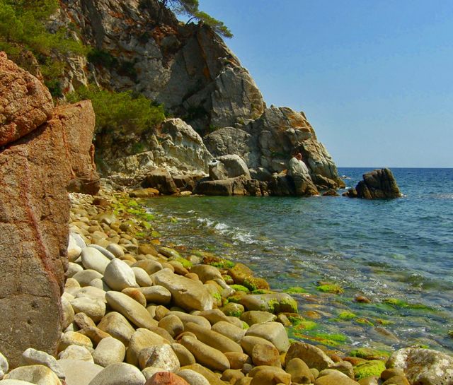 Zdjęcia: Santa Cristina, Costa Brava, Prawie bezludna zatoczka, HISZPANIA Zdjęcia: Santa Cristina, Costa Brava, Prawie bezludna zatoczka, HISZPANIA