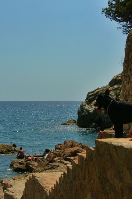 Zdjęcia: Santa Cristina, Costa Brava, Krajobraz z czarnym wilkiem:), HISZPANIA Zdjęcia: Santa Cristina, Costa Brava, Krajobraz z czarnym wilkiem:), HISZPANIA