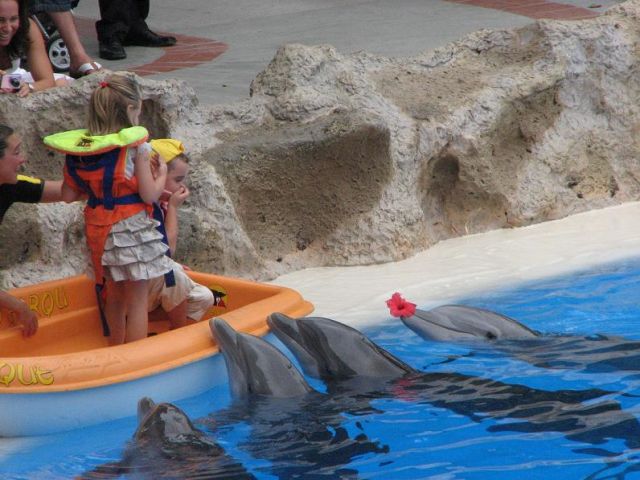 Zdjęcia: Teneryfa, Loro Parque, HISZPANIA Zdjęcia: Teneryfa, Loro Parque, HISZPANIA