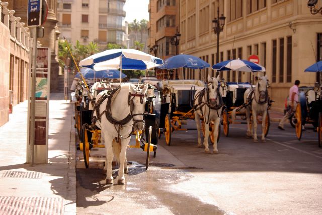 Zdjęcia: Malaga, Andaluzja, postój dorożek, HISZPANIA Zdjęcia: Malaga, Andaluzja, postój dorożek, HISZPANIA