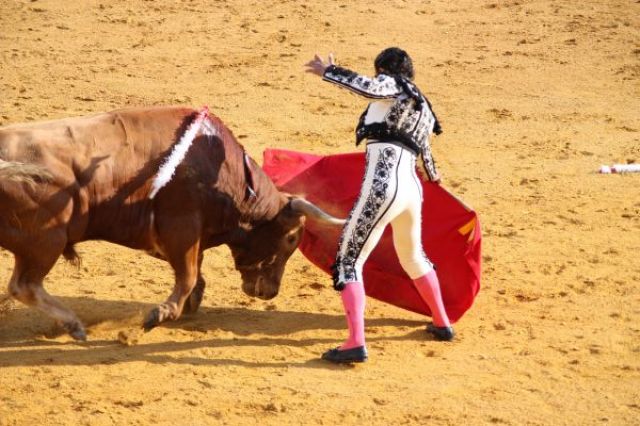 Zdjęcia: Haro, La Rioja, Corrida de toros, HISZPANIA Zdjęcia: Haro, La Rioja, Corrida de toros, HISZPANIA