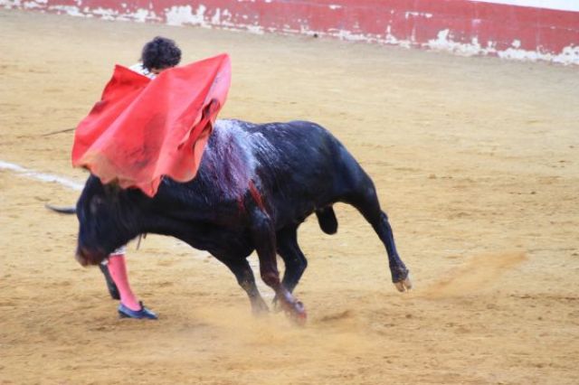 Zdjęcia: Haro, La Rioja, Corrida de toros, HISZPANIA Zdjęcia: Haro, La Rioja, Corrida de toros, HISZPANIA
