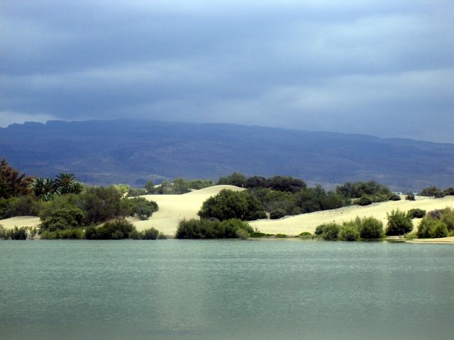 Zdjęcia: Gran Canaria, Maspalomas, Zacisze wydm..., HISZPANIA Zdjęcia: Gran Canaria, Maspalomas, Zacisze wydm..., HISZPANIA
