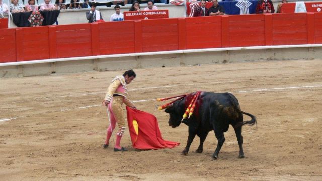 Zdjęcia: Barcelona, Makabryczna śmierć, HISZPANIA Zdjęcia: Barcelona, Makabryczna śmierć, HISZPANIA