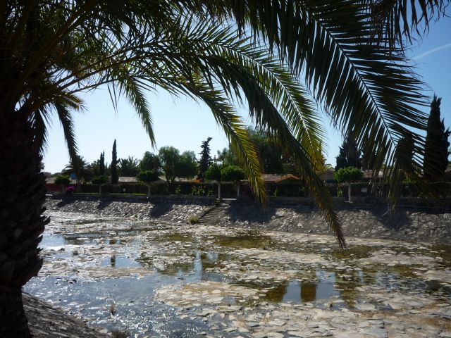 Zdjęcia: Maspalomas, Gran Canaria, Maspalomas, HISZPANIA Zdjęcia: Maspalomas, Gran Canaria, Maspalomas, HISZPANIA