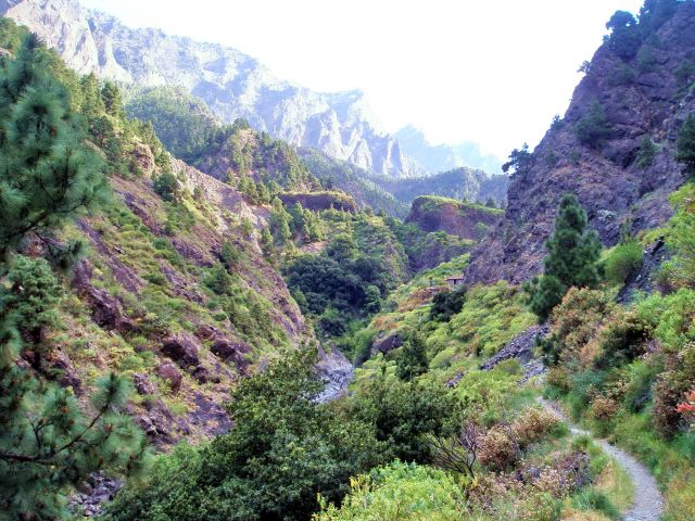 Zdjęcia: La Palma, La Palma, Caldera de Taburiente, HISZPANIA Zdjęcia: La Palma, La Palma, Caldera de Taburiente, HISZPANIA