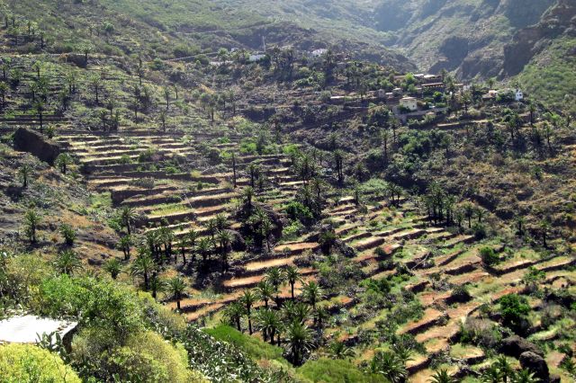Zdjęcia: Masca, Teneryfa, Masca, HISZPANIA Zdjęcia: Masca, Teneryfa, Masca, HISZPANIA