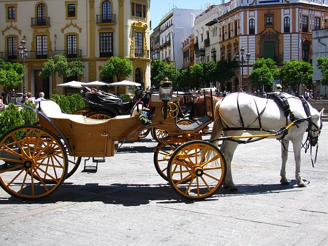 Zdjęcia: Sewilla, Andaluzja, sewilska dorożka, HISZPANIA Zdjęcia: Sewilla, Andaluzja, sewilska dorożka, HISZPANIA