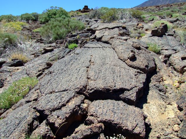Zdjęcia: W. Kanaryjskie, trekking po jęzorze wulkanicznym, HISZPANIA Zdjęcia: W. Kanaryjskie, trekking po jęzorze wulkanicznym, HISZPANIA