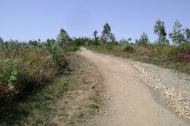 Zdjęcia: przed obrzeżami miasta Santiago de Compostela, Camino de Santiago, HISZPANIA Zdjęcia: przed obrzeżami miasta Santiago de Compostela, Camino de Santiago, HISZPANIA