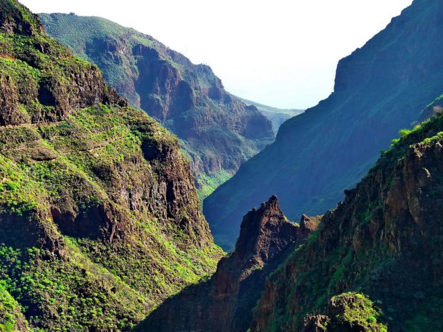 Zdjęcia: Guayadeque, Gran Canaria, Barranco de Guayadeque, HISZPANIA Zdjęcia: Guayadeque, Gran Canaria, Barranco de Guayadeque, HISZPANIA
