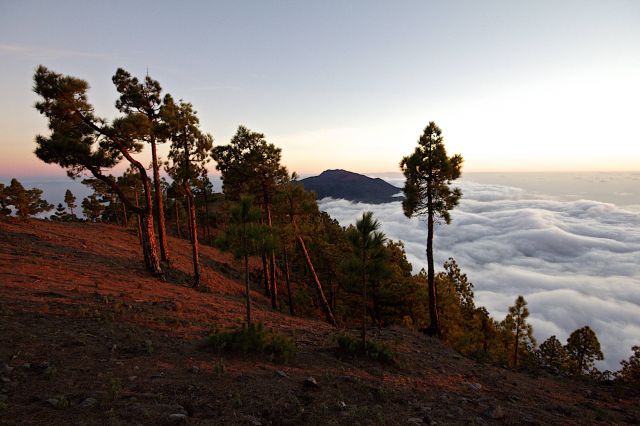 Zdjęcia: la Palma, Wyspy Kanaryjskie, 2000 m.n.p.m.zmierzch, HISZPANIA Zdjęcia: la Palma, Wyspy Kanaryjskie, 2000 m.n.p.m.zmierzch, HISZPANIA