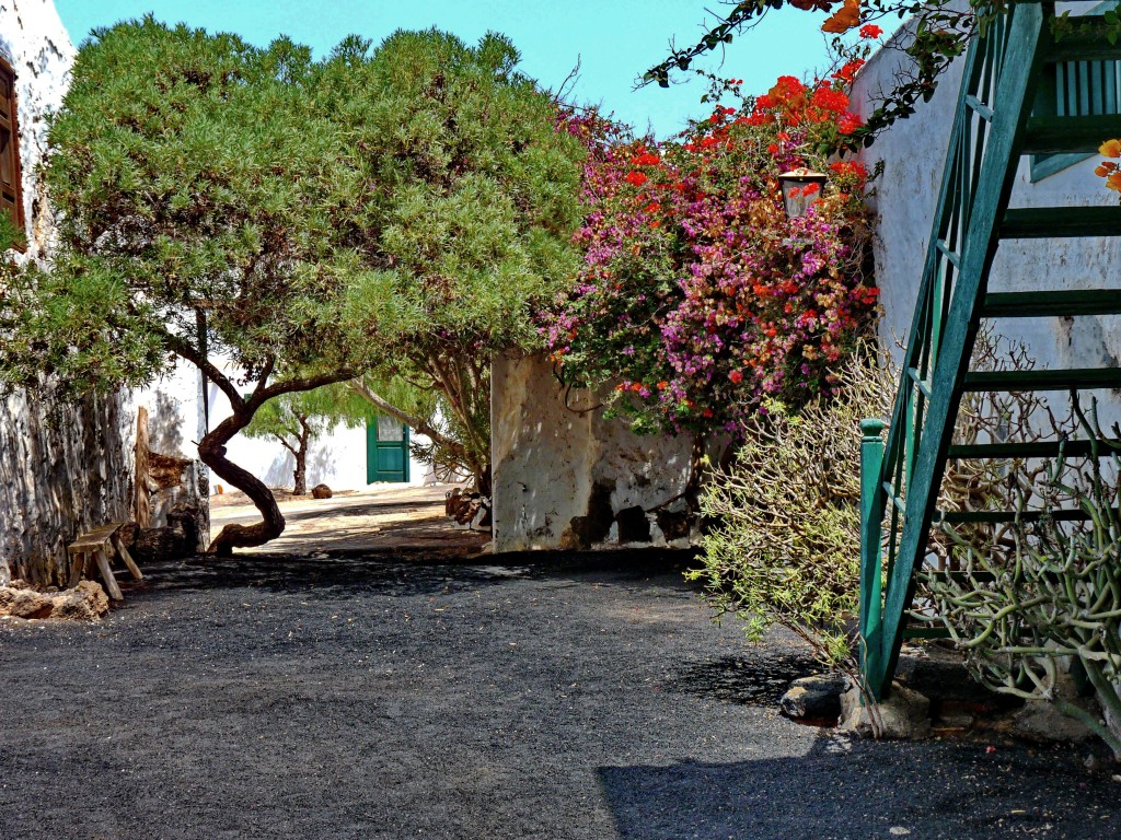 Zdjęcia: Lanzarote, Lanzarote, Skansen, HISZPANIA Zdjęcia: Lanzarote, Lanzarote, Skansen, HISZPANIA