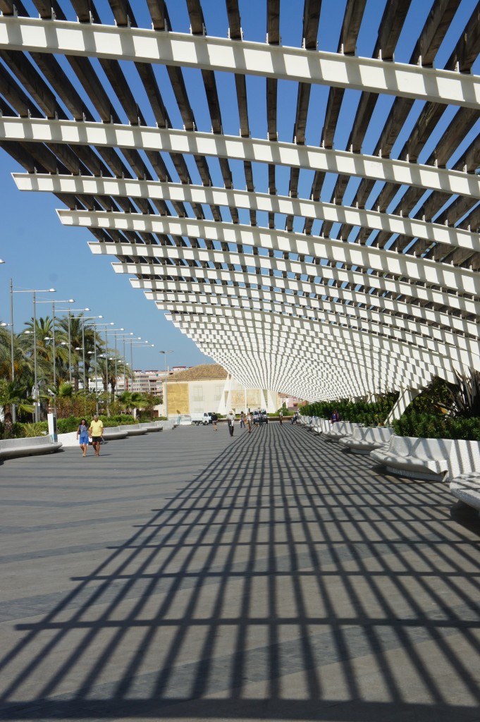 Zdjęcia: Torravieja, Alicante, Linie, HISZPANIA Zdjęcia: Torravieja, Alicante, Linie, HISZPANIA