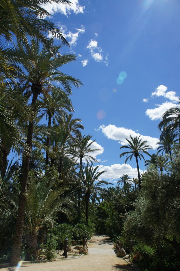 Zdjęcia: Alicante, Costa Blanca, Alejka, HISZPANIA Zdjęcia: Alicante, Costa Blanca, Alejka, HISZPANIA
