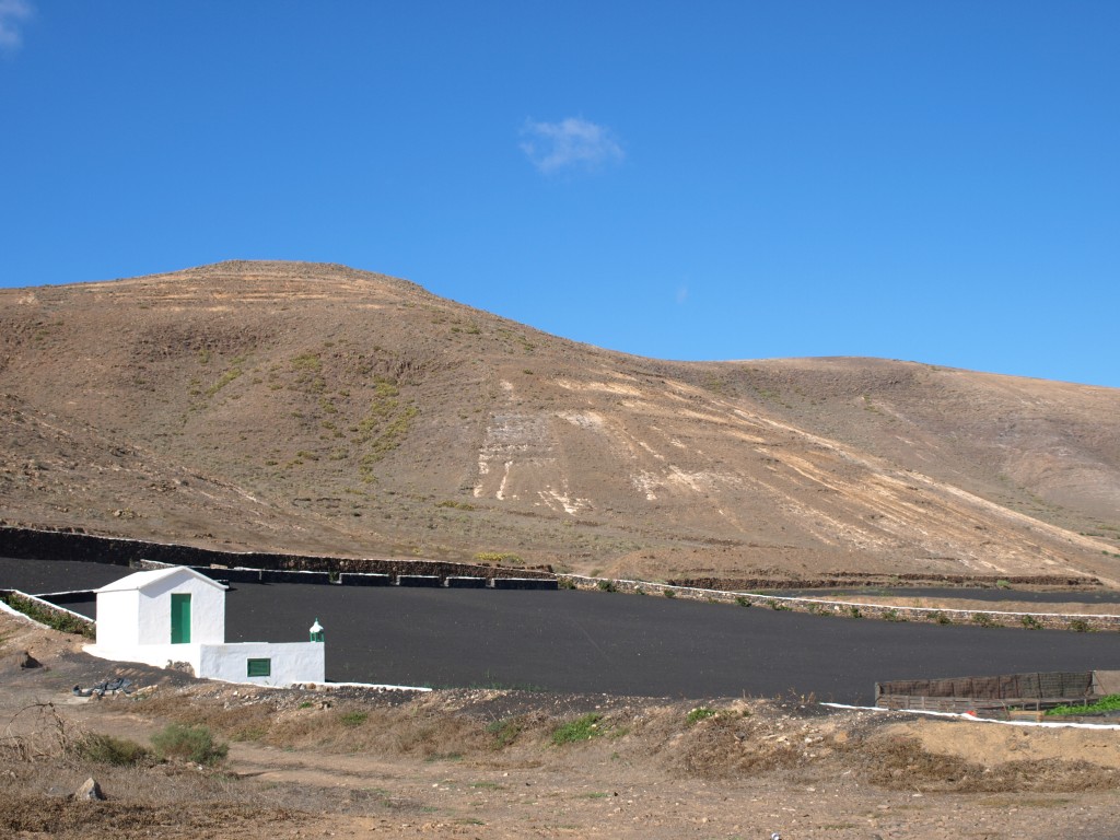 Zdjęcia: wnętrze wyspy, Lanzarote, pola uprawne Lanzarote, HISZPANIA Zdjęcia: wnętrze wyspy, Lanzarote, pola uprawne Lanzarote, HISZPANIA