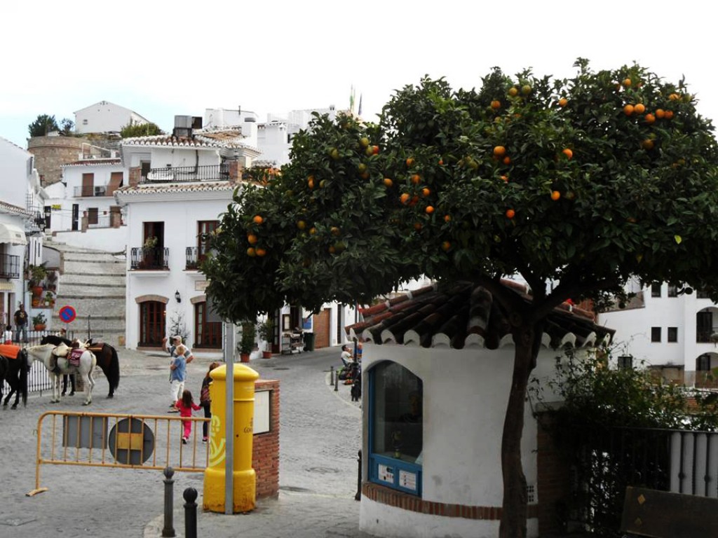 Zdjęcia: Nerja, Andaluzja, pomaranczki, HISZPANIA Zdjęcia: Nerja, Andaluzja, pomaranczki, HISZPANIA