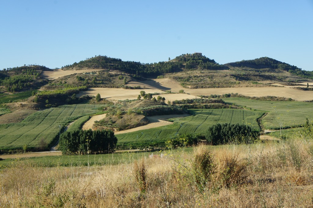 Zdjęcia: Estella, Navarra, Pola i poletka, HISZPANIA Zdjęcia: Estella, Navarra, Pola i poletka, HISZPANIA