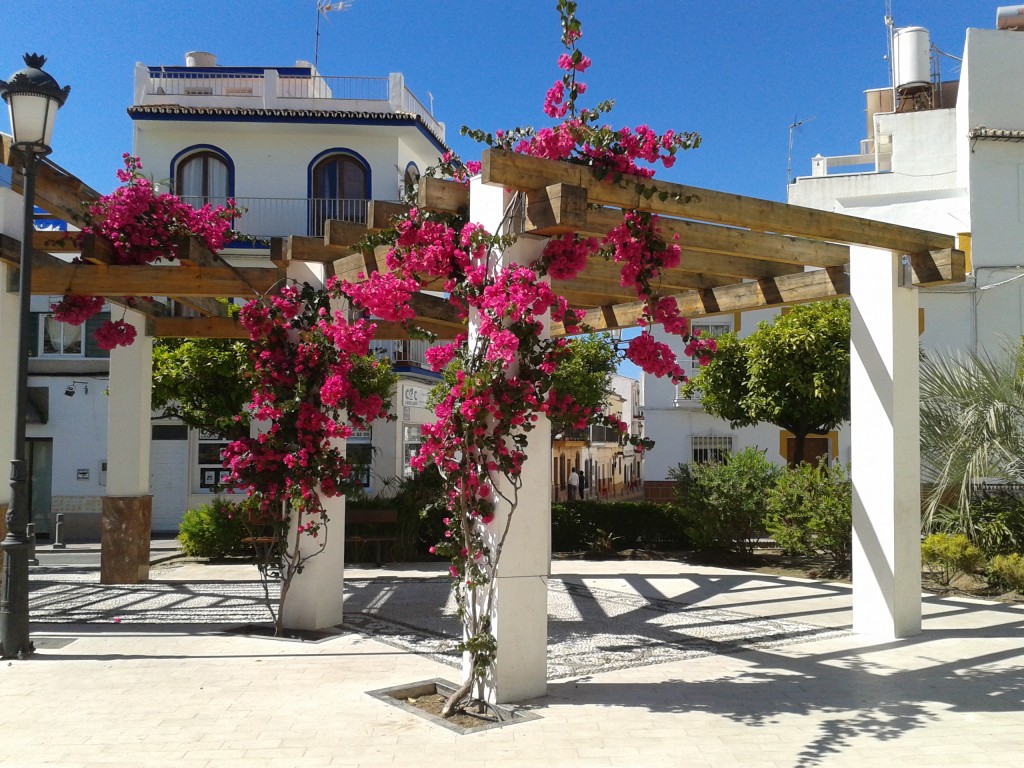 Zdjęcia: NERJA, PROVINCIA DE MALAGA, NERJA , HISZPANIA Zdjęcia: NERJA, PROVINCIA DE MALAGA, NERJA , HISZPANIA