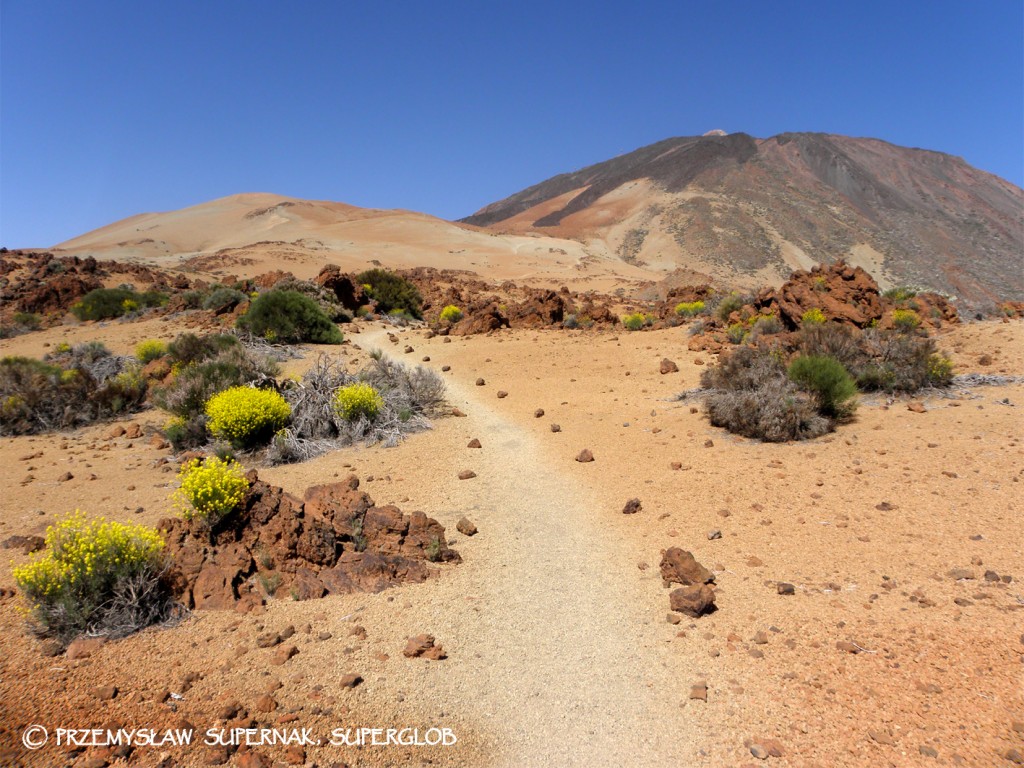 Zdjęcia: Park Narodowy El Teide, Teneryfa, El Teide od strony Portillo, HISZPANIA Zdjęcia: Park Narodowy El Teide, Teneryfa, El Teide od strony Portillo, HISZPANIA