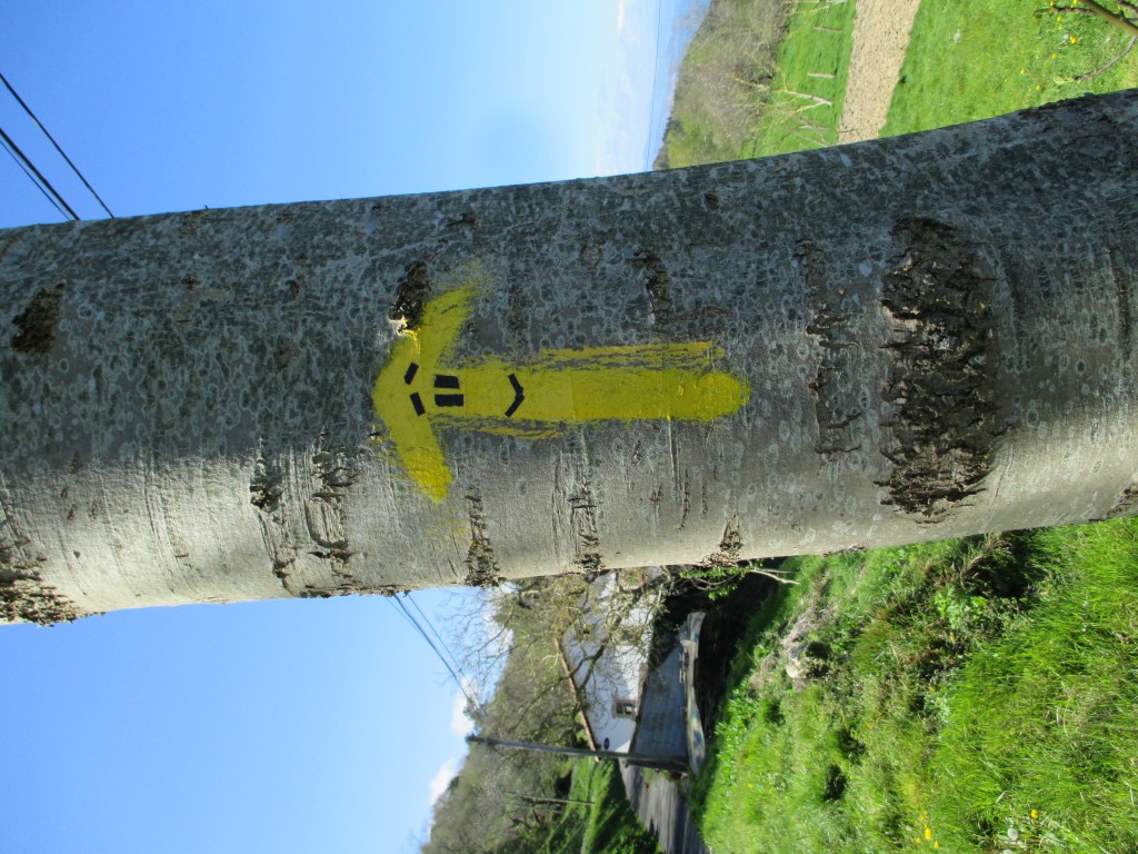 Zdjęcia: Droga do Zarautz, Kraj Baskow, Camino del Norte, HISZPANIA Zdjęcia: Droga do Zarautz, Kraj Baskow, Camino del Norte, HISZPANIA