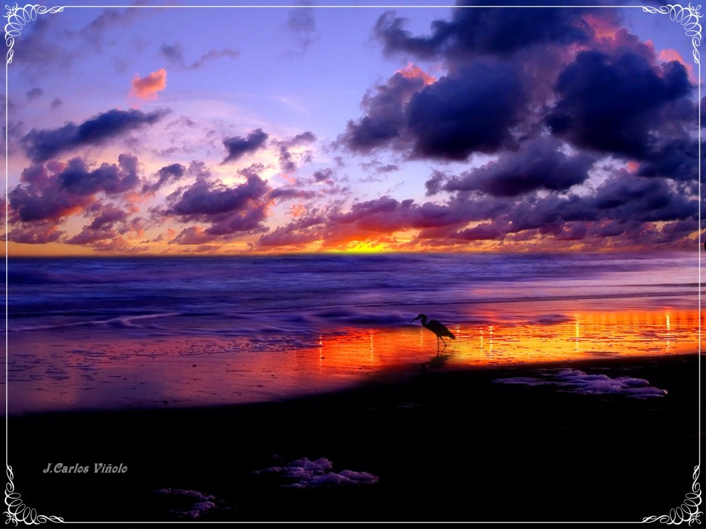 Zdjęcia: CADIZ, ANDALUCIA, ATARDECER ESPLENDIDA, HISZPANIA Zdjęcia: CADIZ, ANDALUCIA, ATARDECER ESPLENDIDA, HISZPANIA
