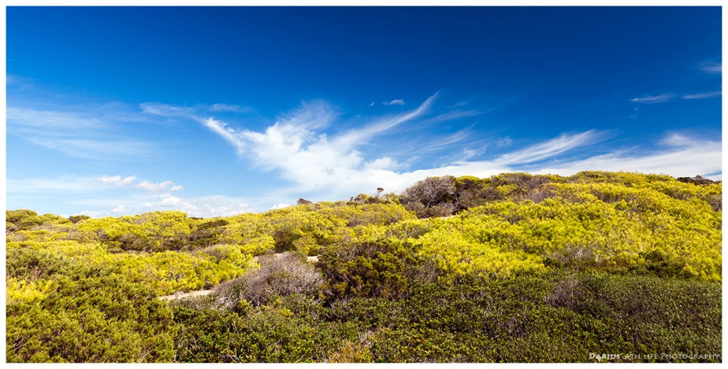 Zdjęcia: Cap ses Salines, Mallorca, Mediteranean Landscape, HISZPANIA Zdjęcia: Cap ses Salines, Mallorca, Mediteranean Landscape, HISZPANIA