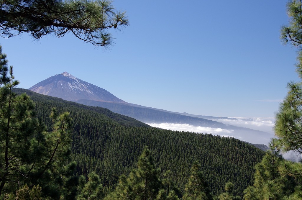 Zdjęcia: Teneryfa, Wyspy Kanaryjskie, W stronę Teide, HISZPANIA Zdjęcia: Teneryfa, Wyspy Kanaryjskie, W stronę Teide, HISZPANIA