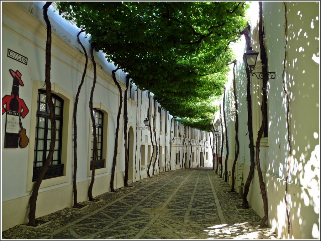 Zdjęcia: Jerez de la Frontera, Andaluzja, Jerez de la Frontera, HISZPANIA Zdjęcia: Jerez de la Frontera, Andaluzja, Jerez de la Frontera, HISZPANIA