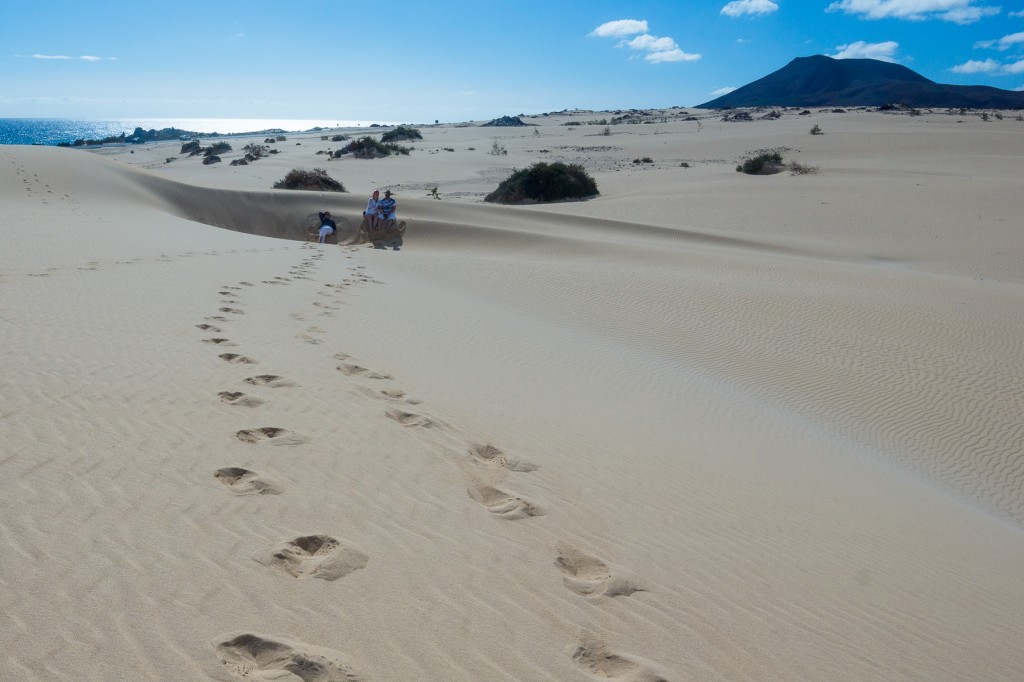 Zdjęcia:  Parque Natural Corralejo, Fuerteventura, jak na pustyni, HISZPANIA Zdjęcia:  Parque Natural Corralejo, Fuerteventura, jak na pustyni, HISZPANIA