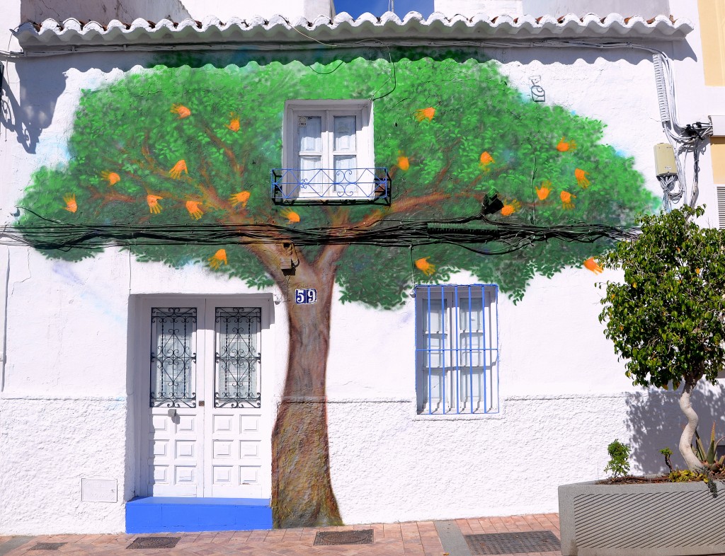 Zdjęcia: Nerja, ---, drzewo, HISZPANIA Zdjęcia: Nerja, ---, drzewo, HISZPANIA