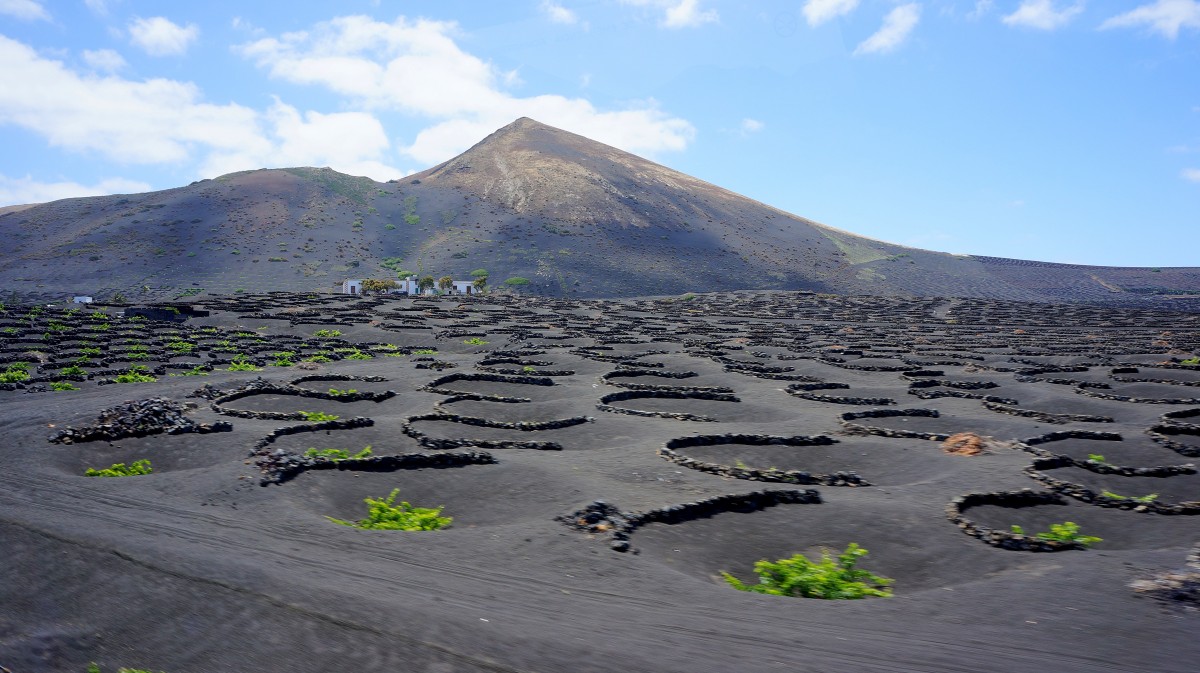 Zdjęcia: La Geria, Lanzarote, winnica..., HISZPANIA Zdjęcia: La Geria, Lanzarote, winnica..., HISZPANIA