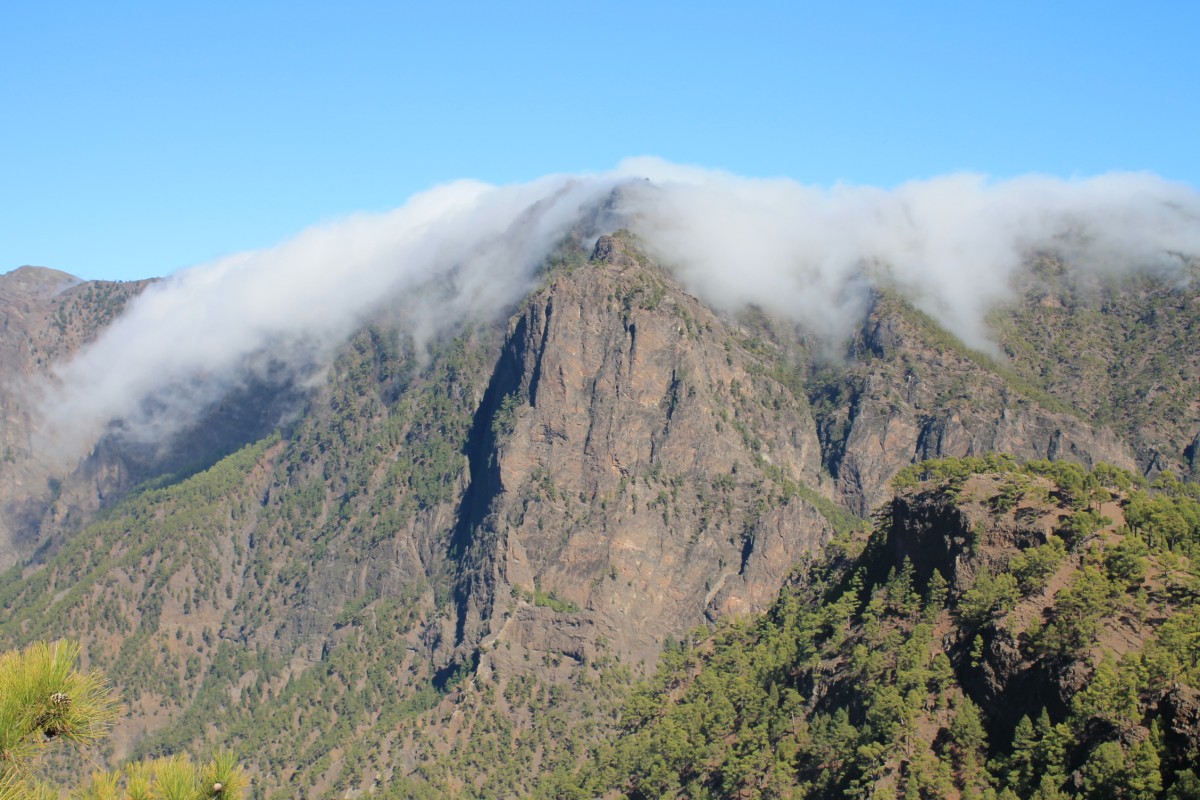Zdjęcia: W drodze na Pico Bejenado, Wyspy Kan., La Palma, HISZPANIA Zdjęcia: W drodze na Pico Bejenado, Wyspy Kan., La Palma, HISZPANIA
