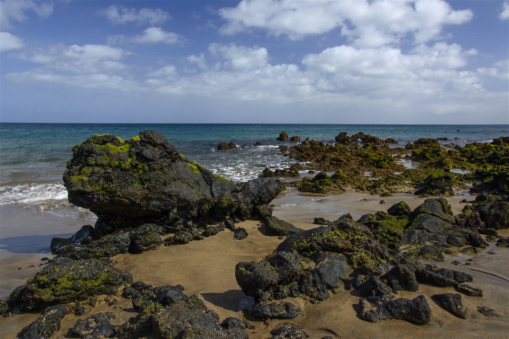 Zdjęcia: PUERTO DEL CARMEN, LANZAROTE, potwór na plaży, HISZPANIA Zdjęcia: PUERTO DEL CARMEN, LANZAROTE, potwór na plaży, HISZPANIA