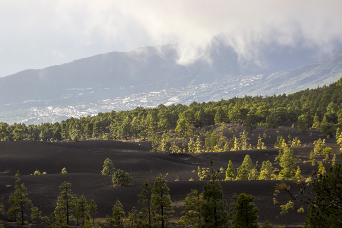 Zdjęcia: La Palma, Wyspy Kanaryjskie, La Palma, HISZPANIA Zdjęcia: La Palma, Wyspy Kanaryjskie, La Palma, HISZPANIA