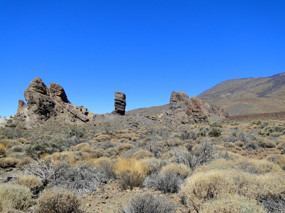 Zdjęcia: Teneryfa, Park Narodowy del Teide., Wyspy Kanaryjskie, Wulkaniczne klimaty., HISZPANIA Zdjęcia: Teneryfa, Park Narodowy del Teide., Wyspy Kanaryjskie, Wulkaniczne klimaty., HISZPANIA