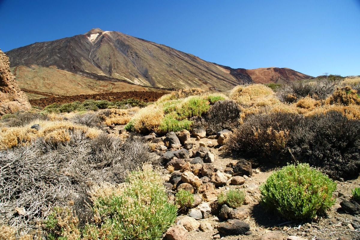 Zdjęcia: Teneryfa, Wyspy Kanaryjskie, Teide, HISZPANIA Zdjęcia: Teneryfa, Wyspy Kanaryjskie, Teide, HISZPANIA