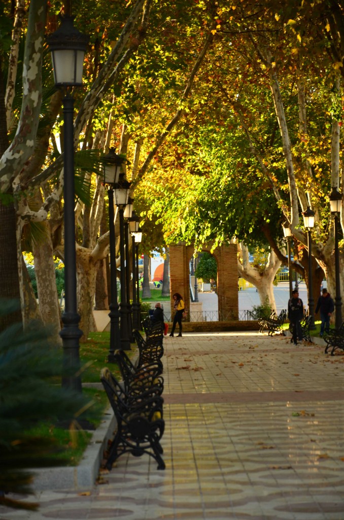 Zdjęcia: Palos de la Frontera, Andaluzja, Ławki, HISZPANIA Zdjęcia: Palos de la Frontera, Andaluzja, Ławki, HISZPANIA